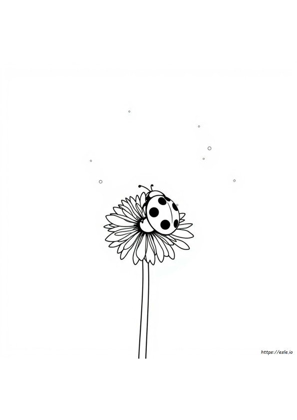 Lady Bug Pictures To Color