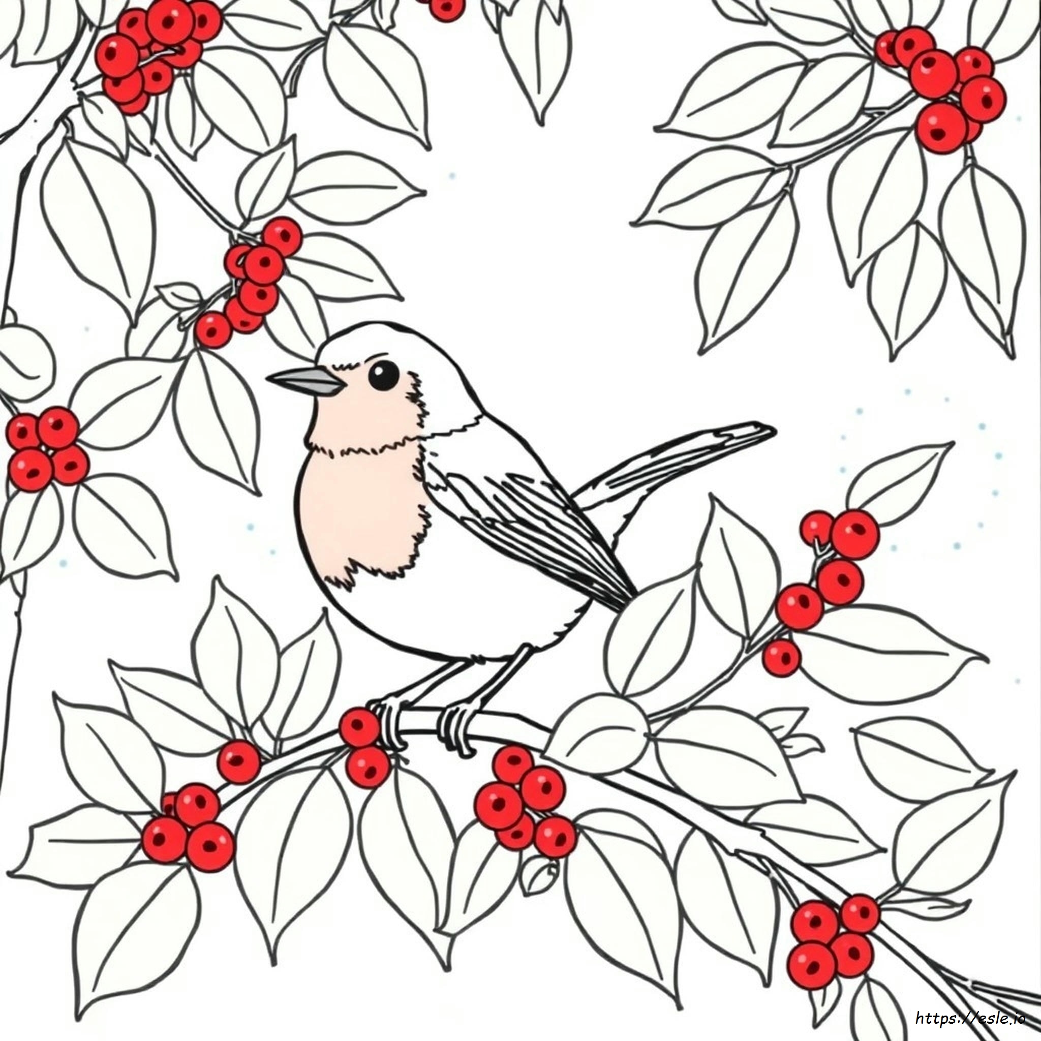 Disegni Da Colorare Di Pettirossi