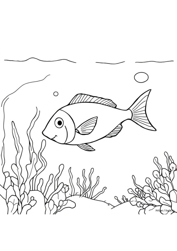 Free Coloring Pages Of Fish