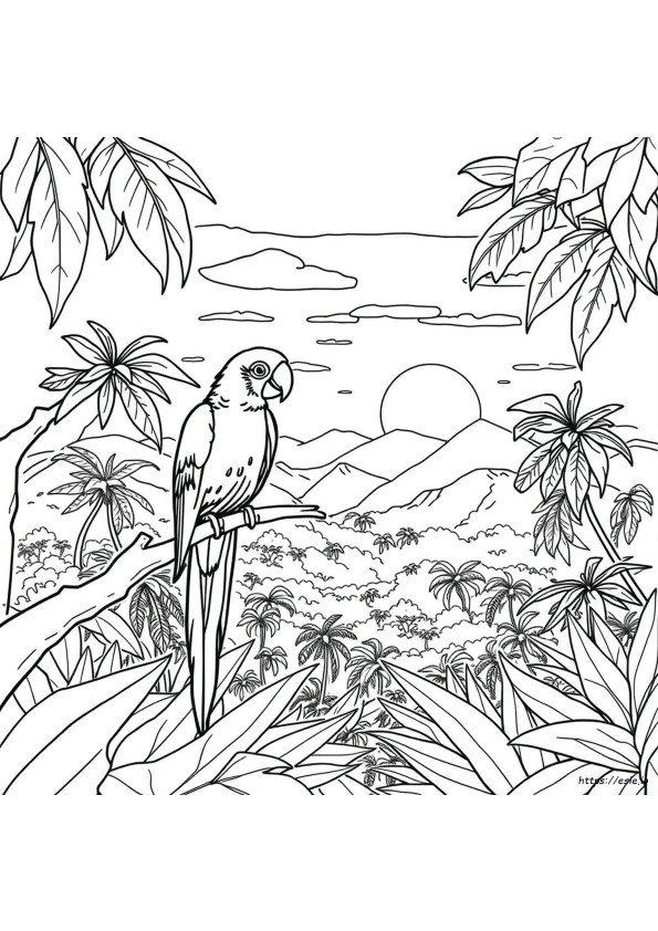 South America Coloring