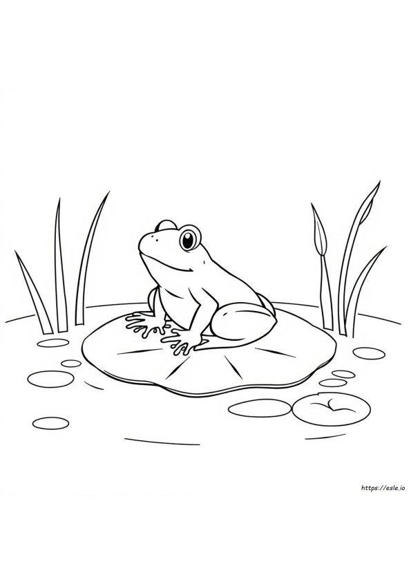 Desenhos De Sapos Para Colorir E Imprimir