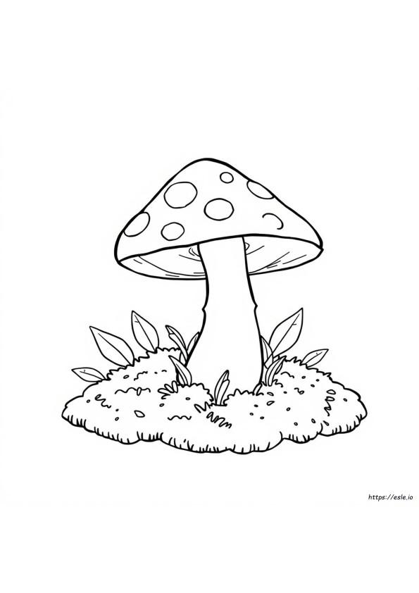 What Color Is Toadstool