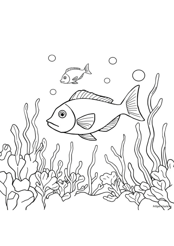 Fisch Ausmalbilder Für Kinder