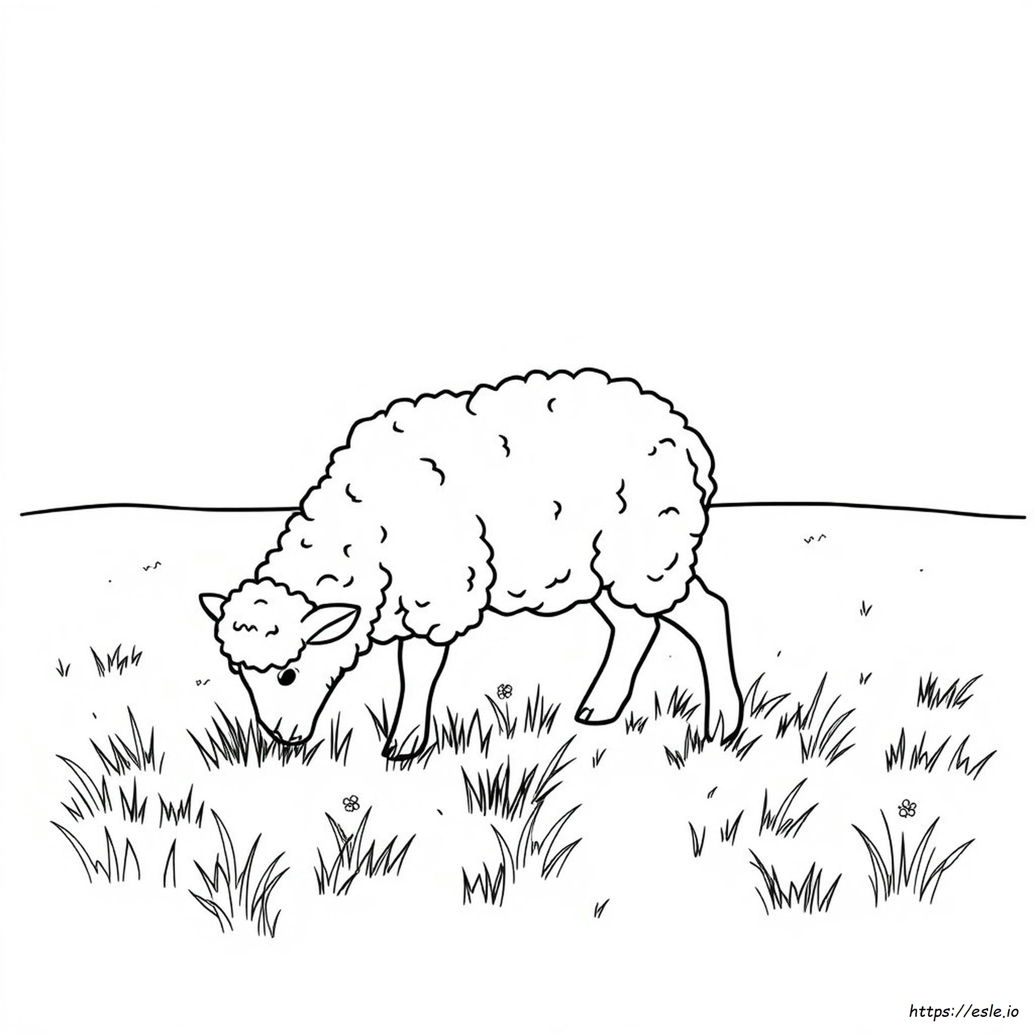Free Coloring Pages Of Lambs