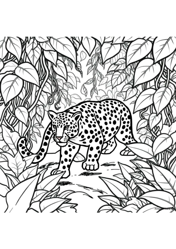 Jaguar Ausmalbilder Für Erwachsene