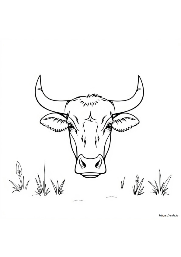 Coloriage Tête De Taureau