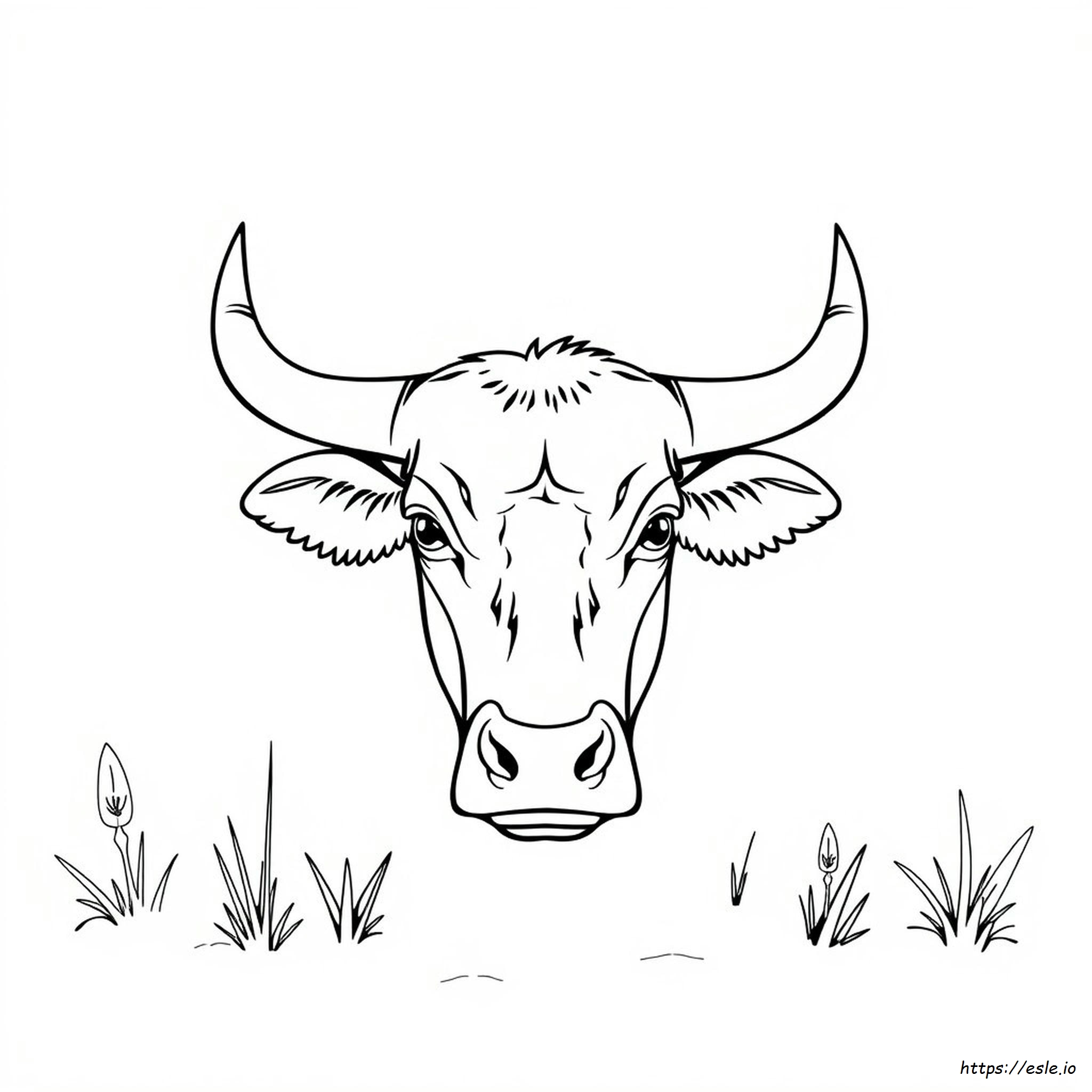 Bull Head Coloring Page