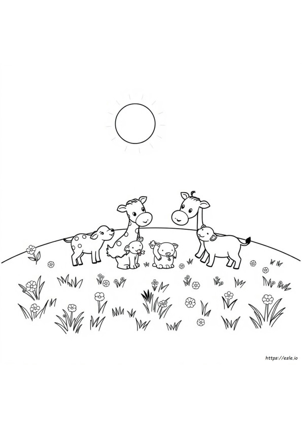 Coloring In Pages Animals
