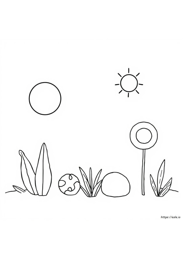 Free Coloring Pages Of Colors