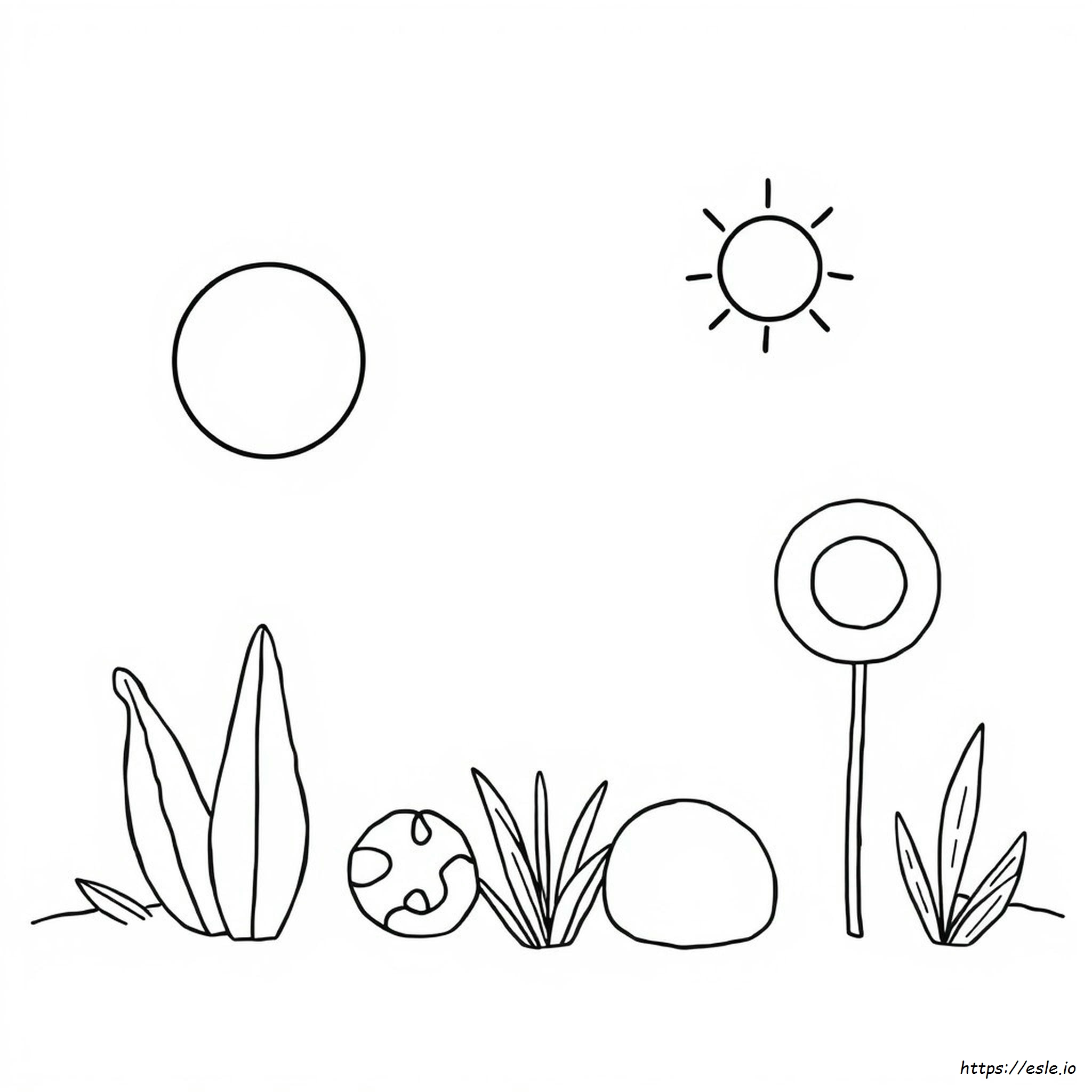 Páginas Para Colorear Gratis De Colores
