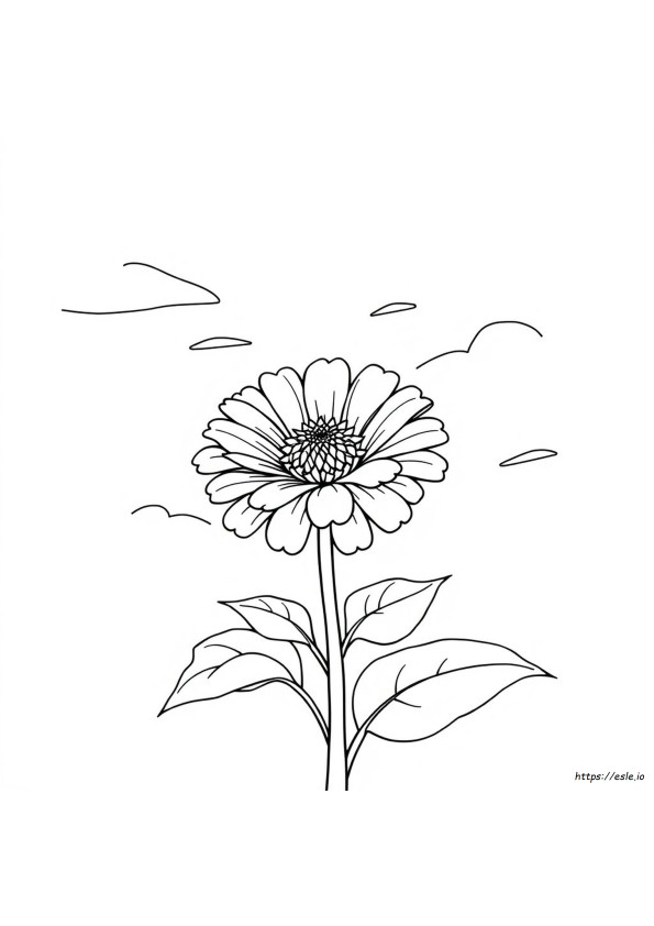 Zinnia Coloring Page
