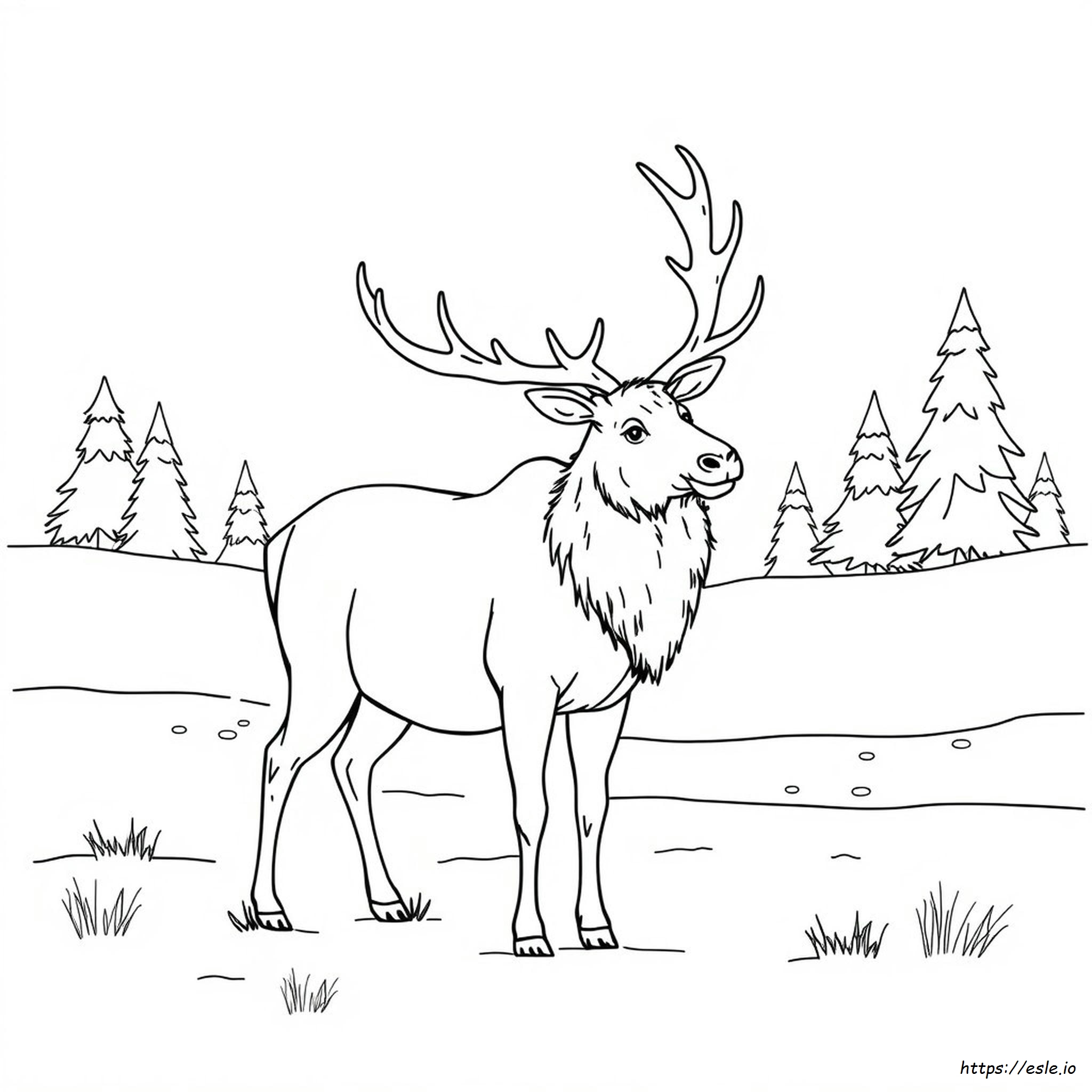 Elk Coloring Pictures