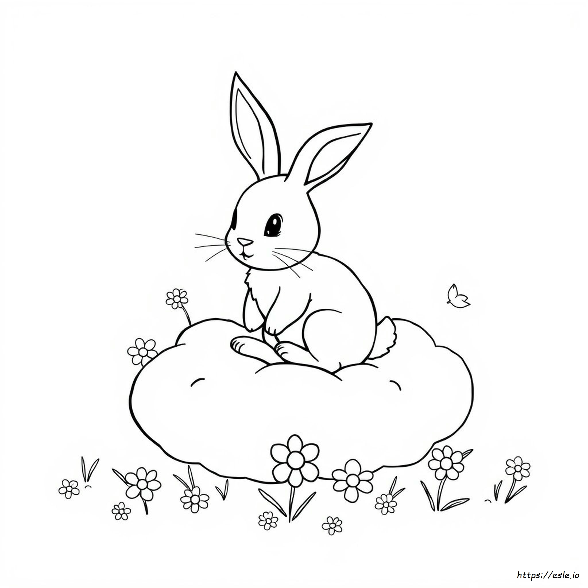Rabbit Picture For Colouring