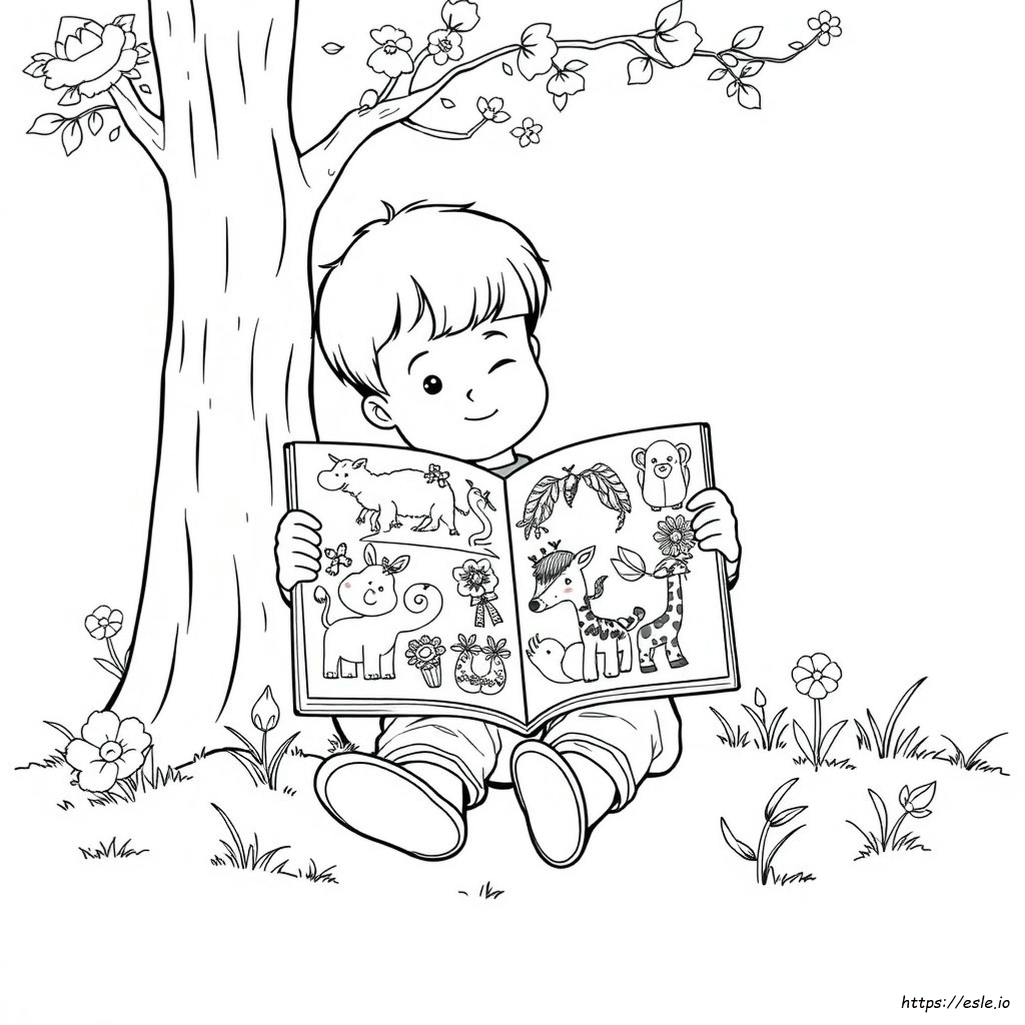 Imágenes Del Libro De Colores