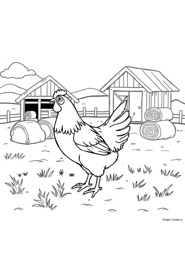 Chicken Coloring Picture