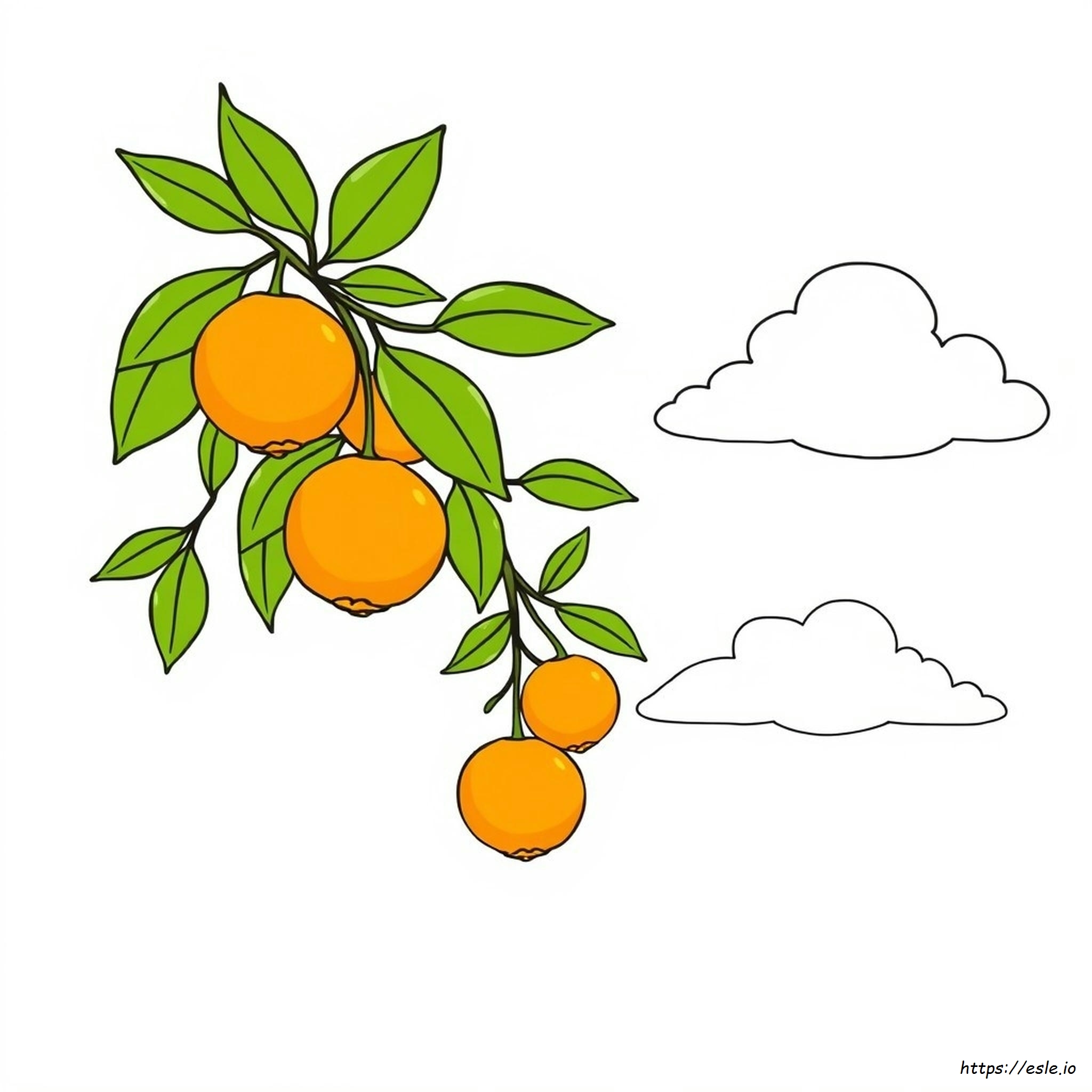 Naranja Para Colorear