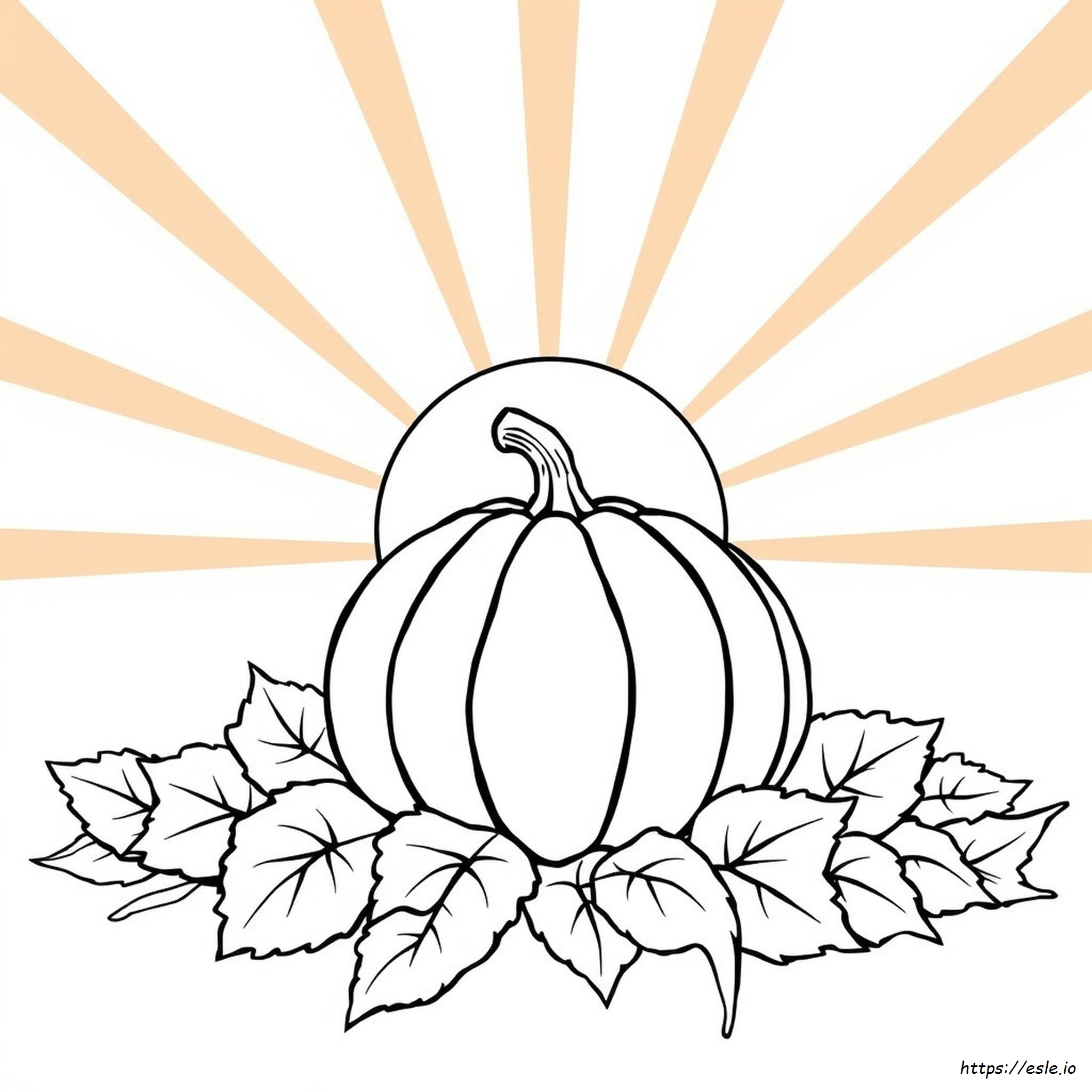 Pumpkin Colouring In Pictures