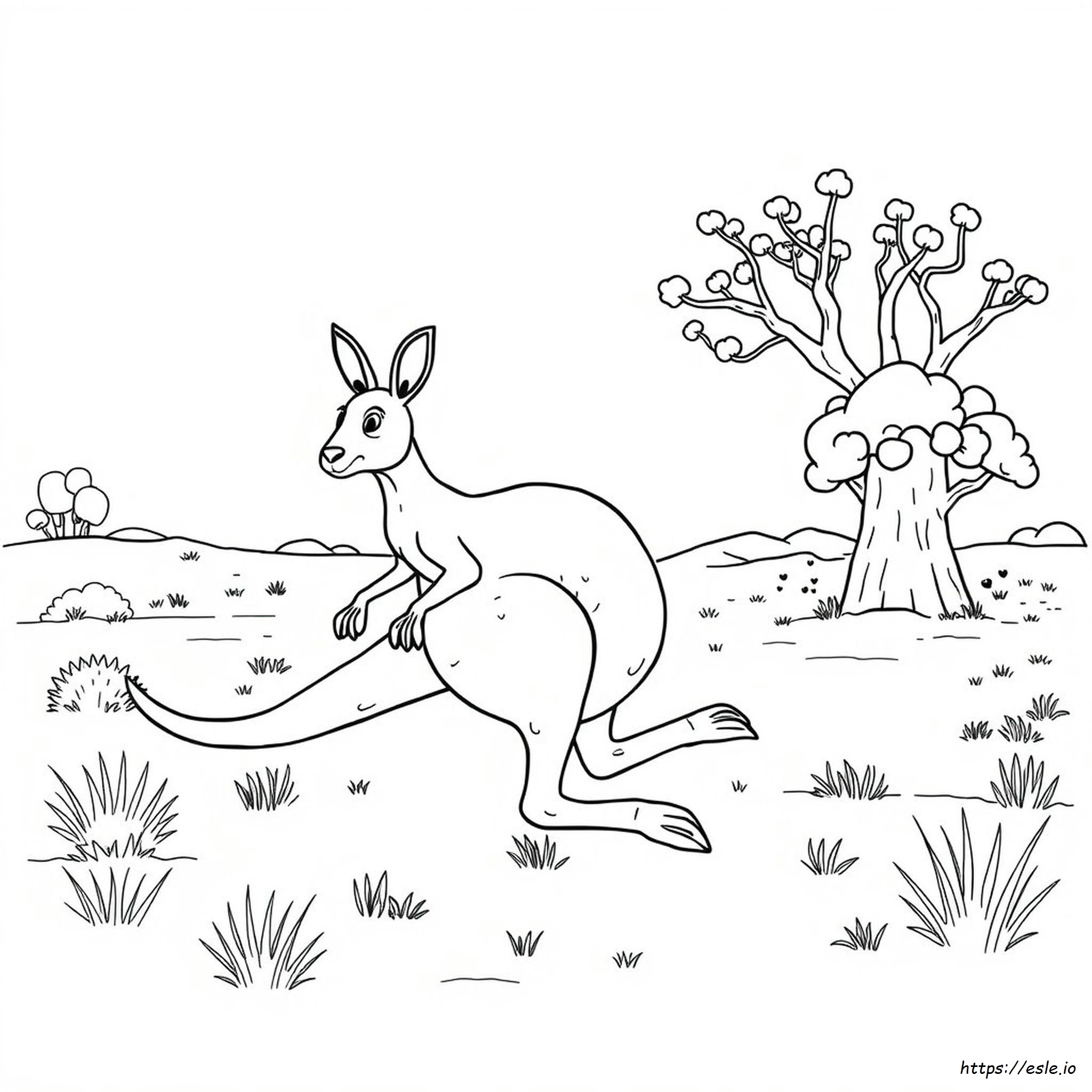 Colouring In Pages Australian Animals