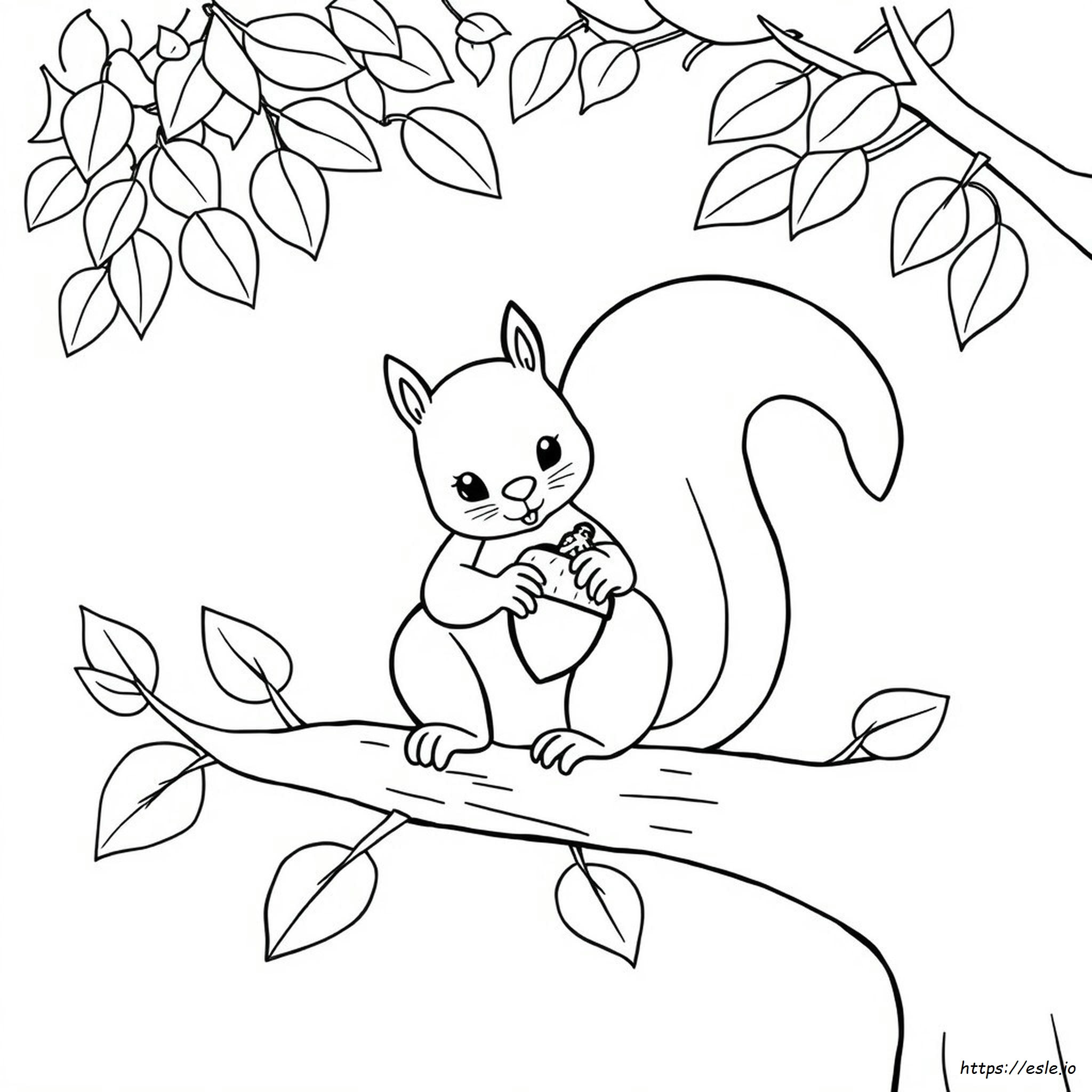Coloring Picture Of A Squirrel