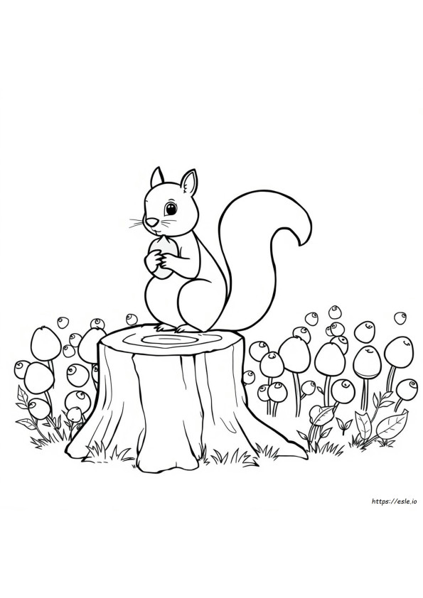 Norris Nuts Coloring Pages