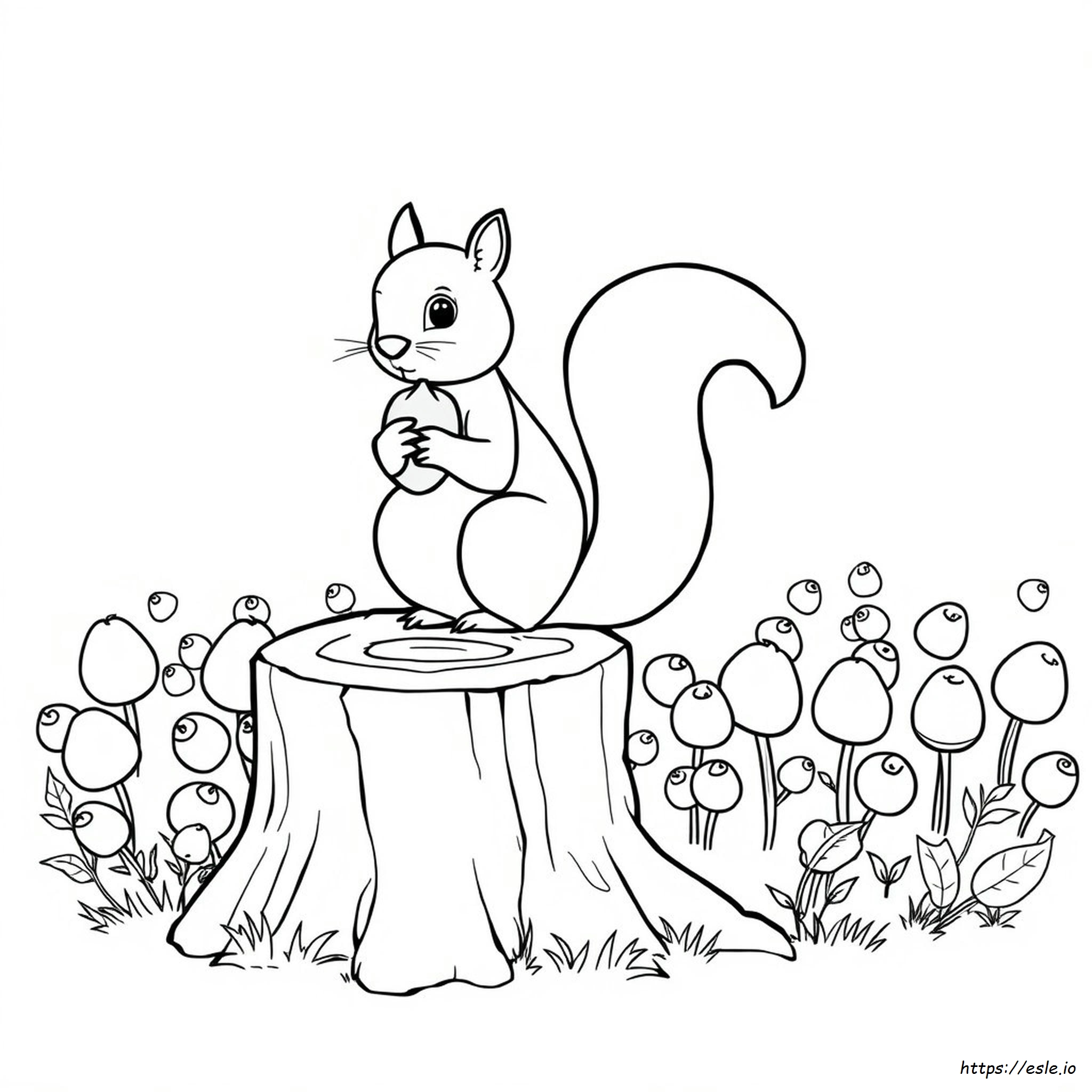 Norris Nuts Disegni Da Colorare