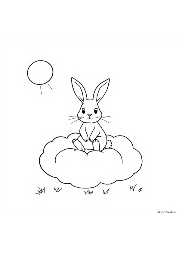 Rabbit Colouring Pictures