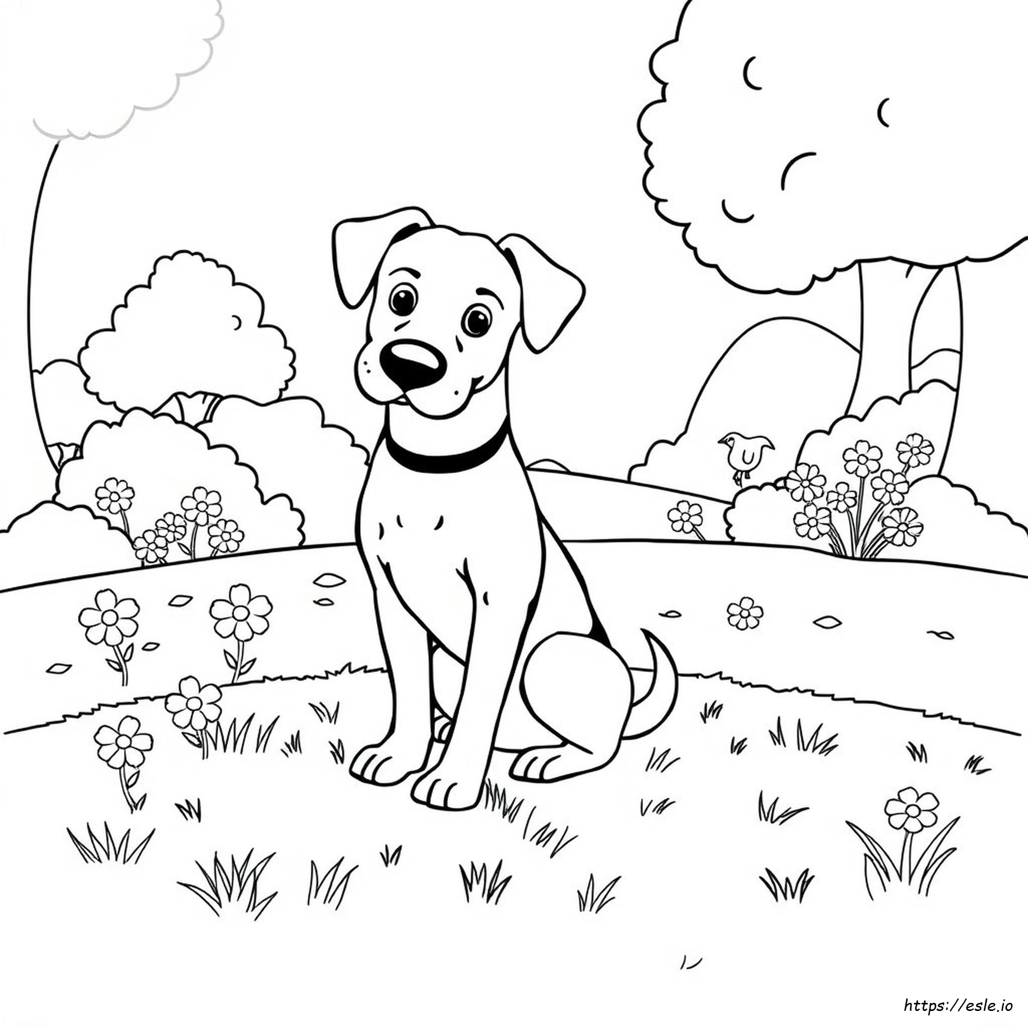 Pictures Of Dogs Coloring Pages