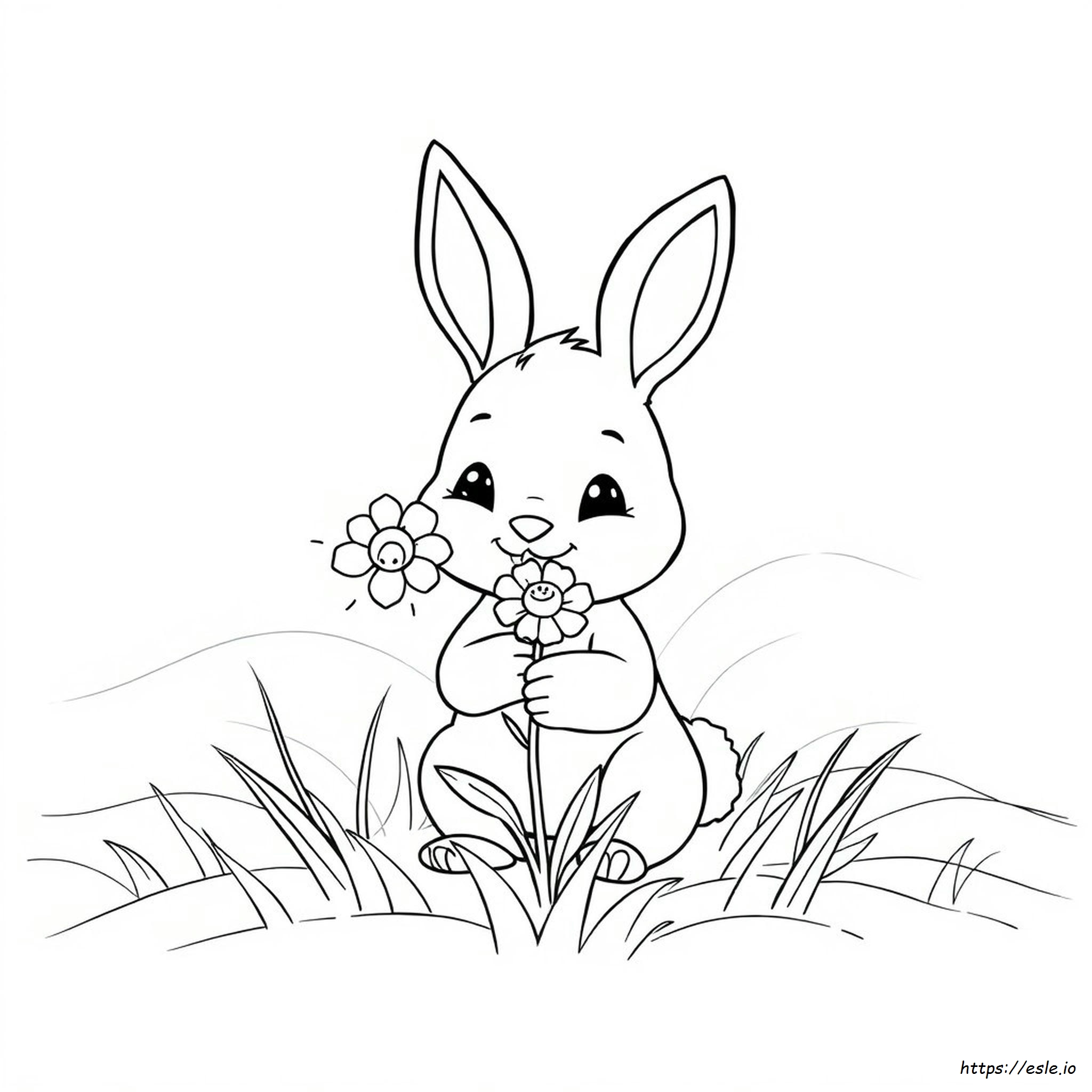 Bonitos Dibujos Transparentes Para Colorear