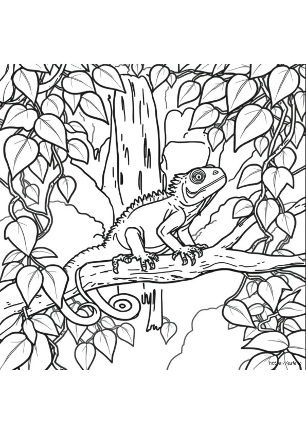 I De Iguana Para Colorir