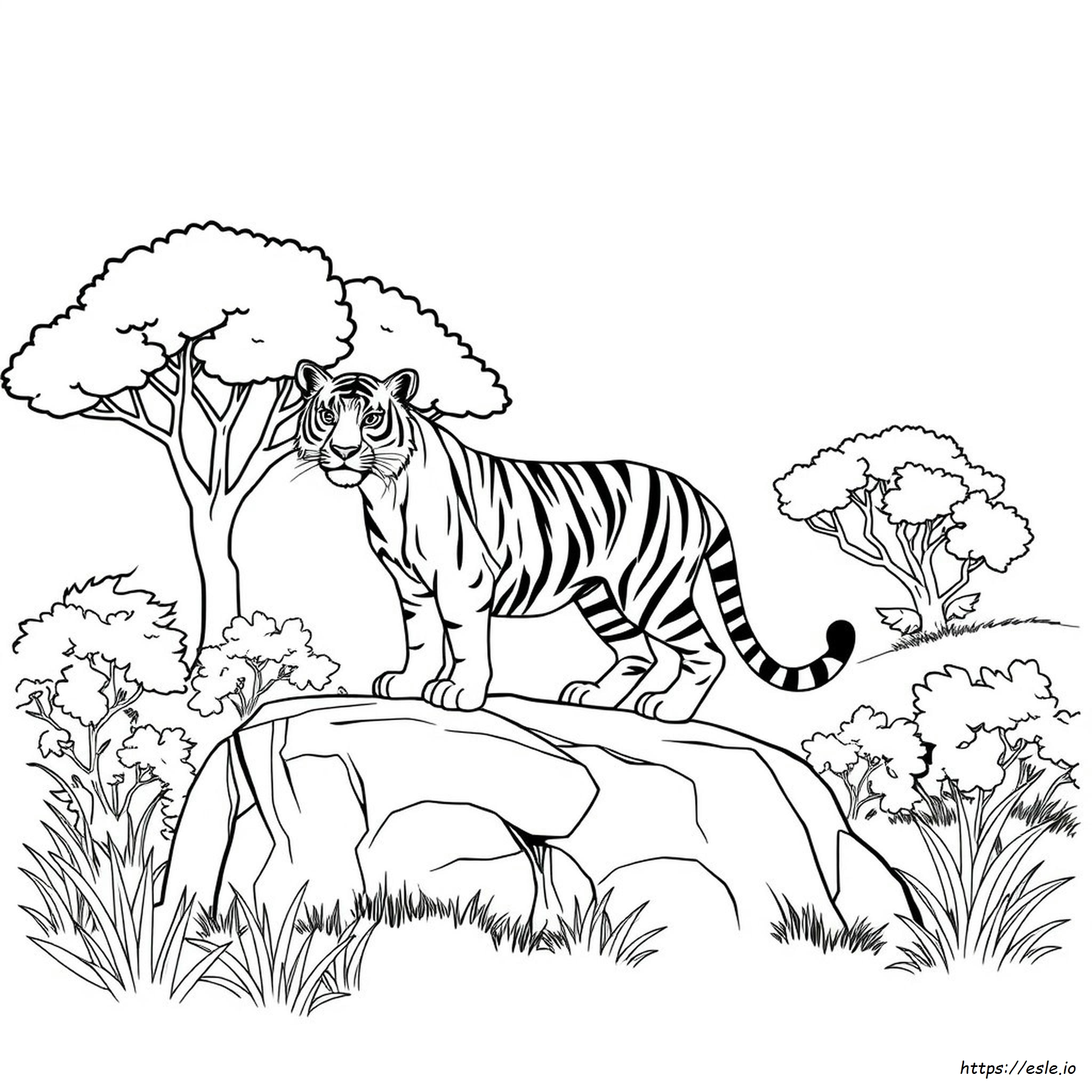 Tiger Coloring Pictures