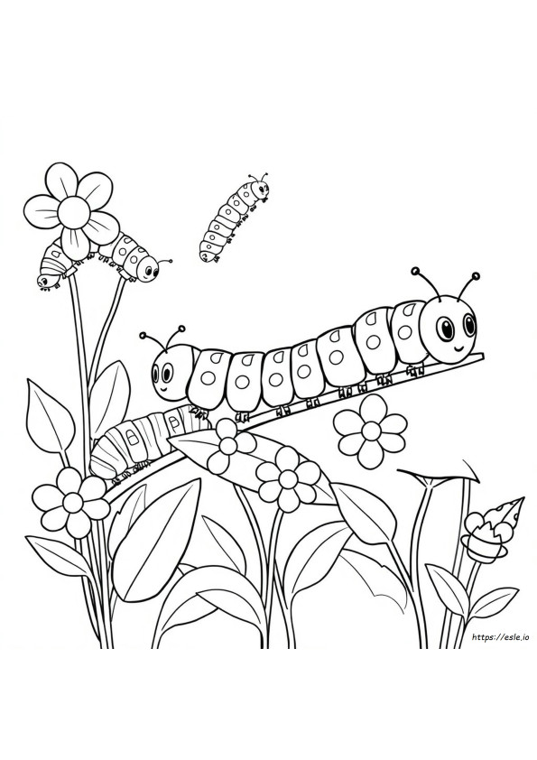 Different Colors Of Caterpillars