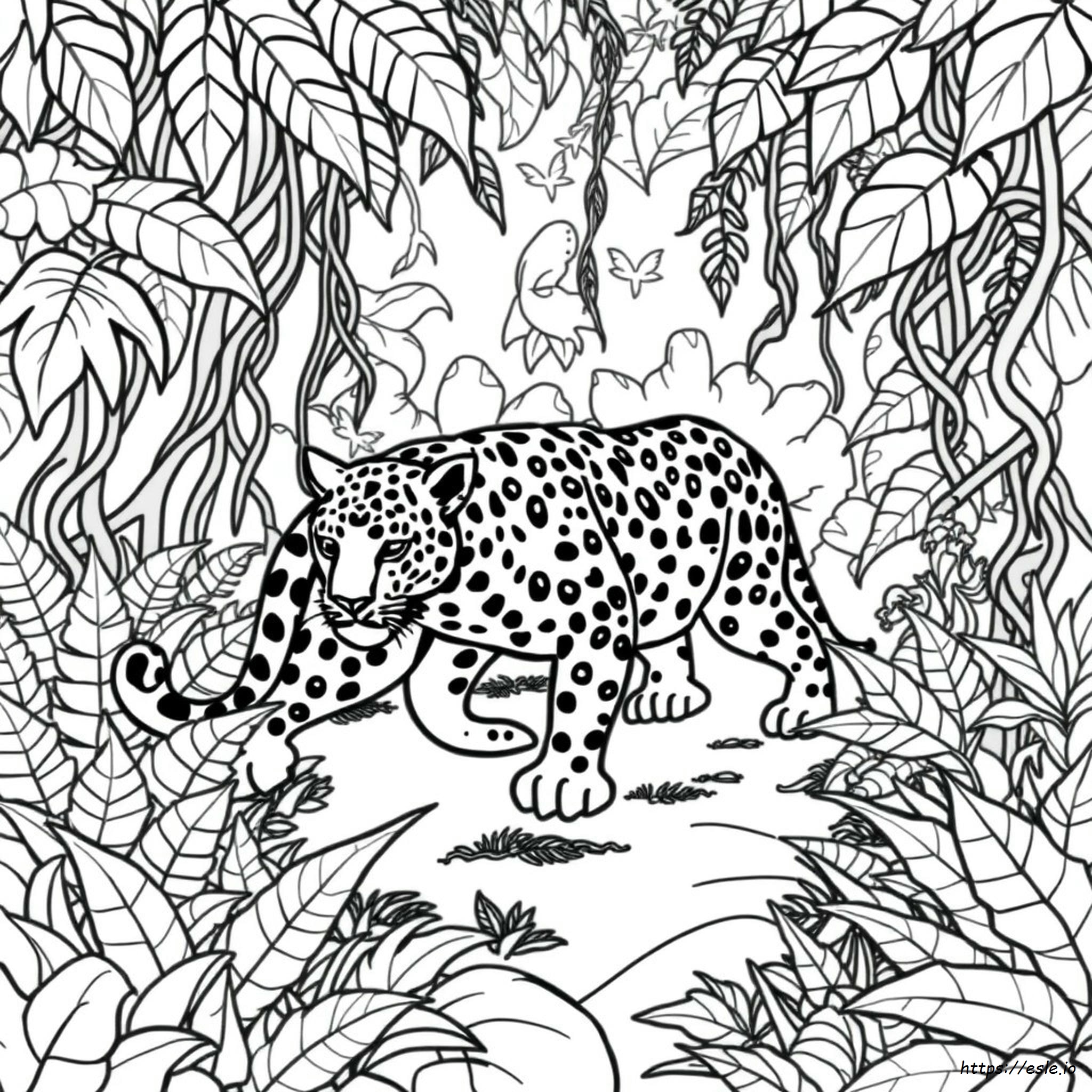 Wildlife Colouring Pages
