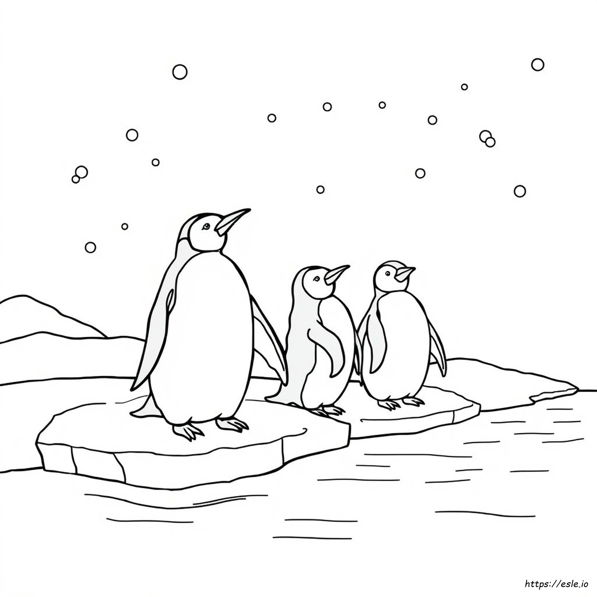 Penguin Colouring Pages