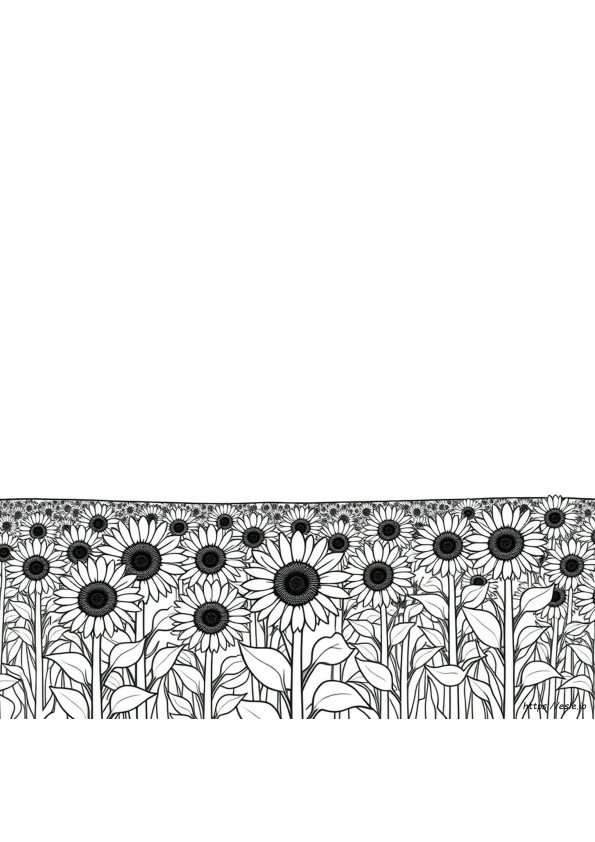 Sommerliche Mathe Ausmalbilder