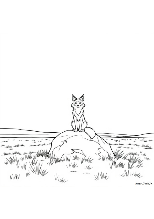 Coyote Kleurplaat