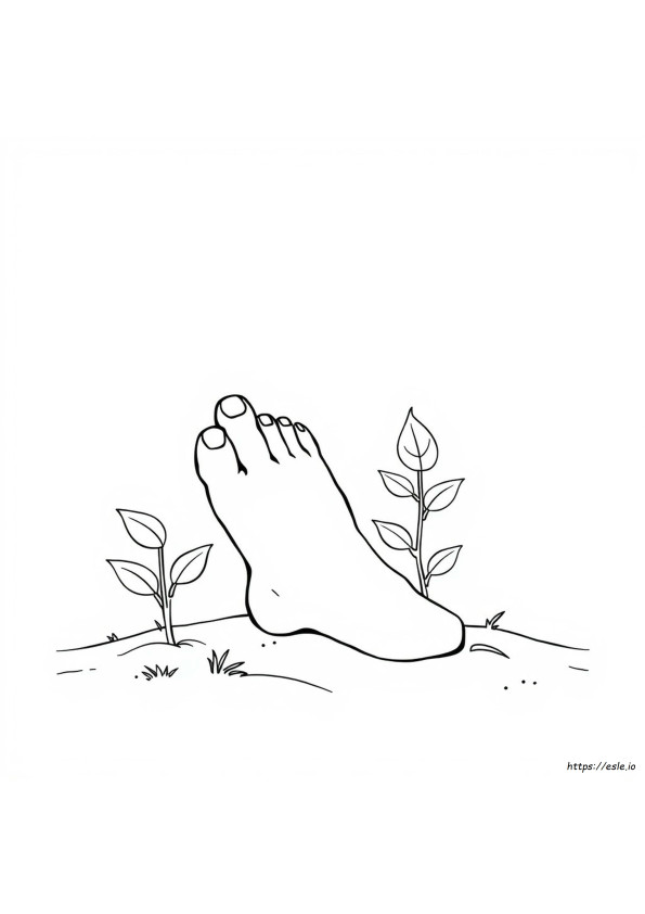 Color Of Toenails And Health