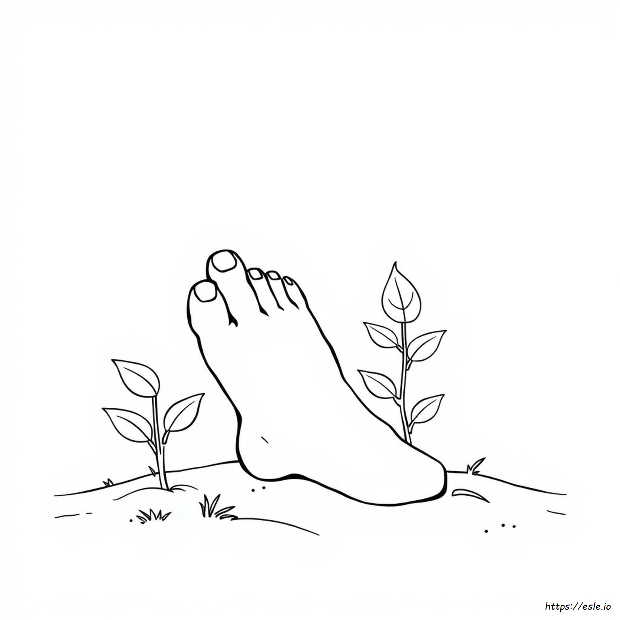 Color De Uñas De Los Pies Y Salud