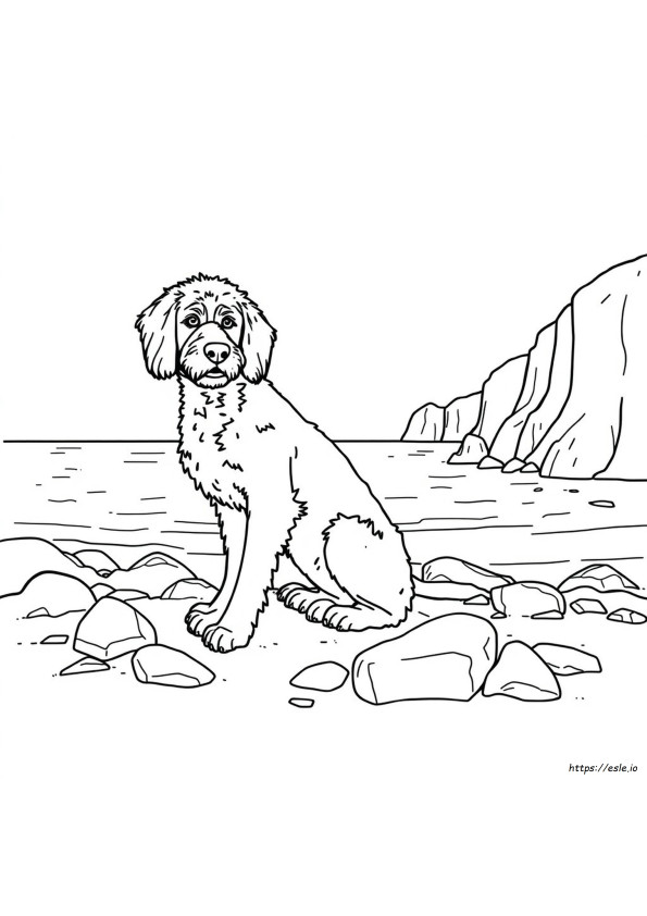 Portuguese Water Dog Coloring Page