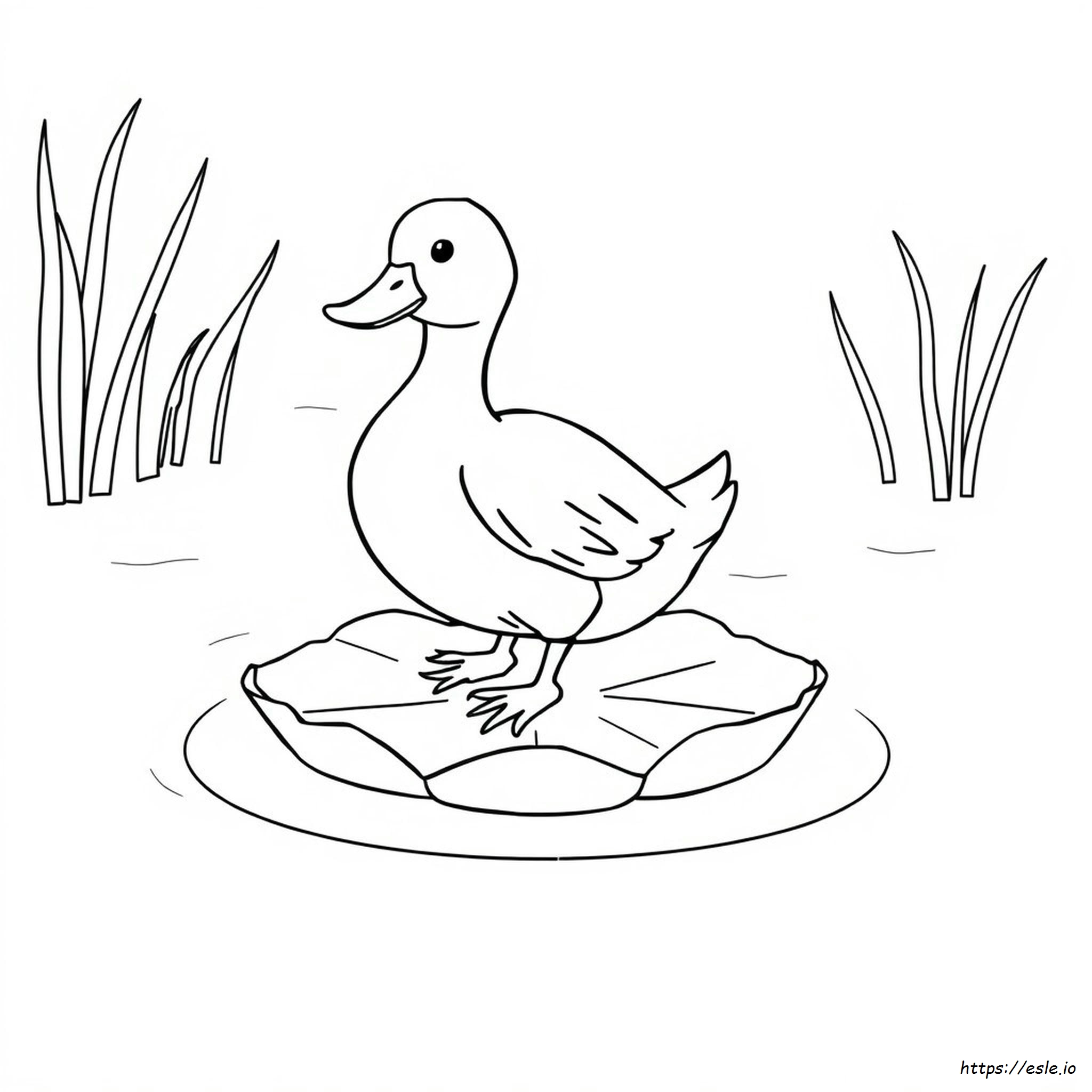 Duck Outline For Colouring