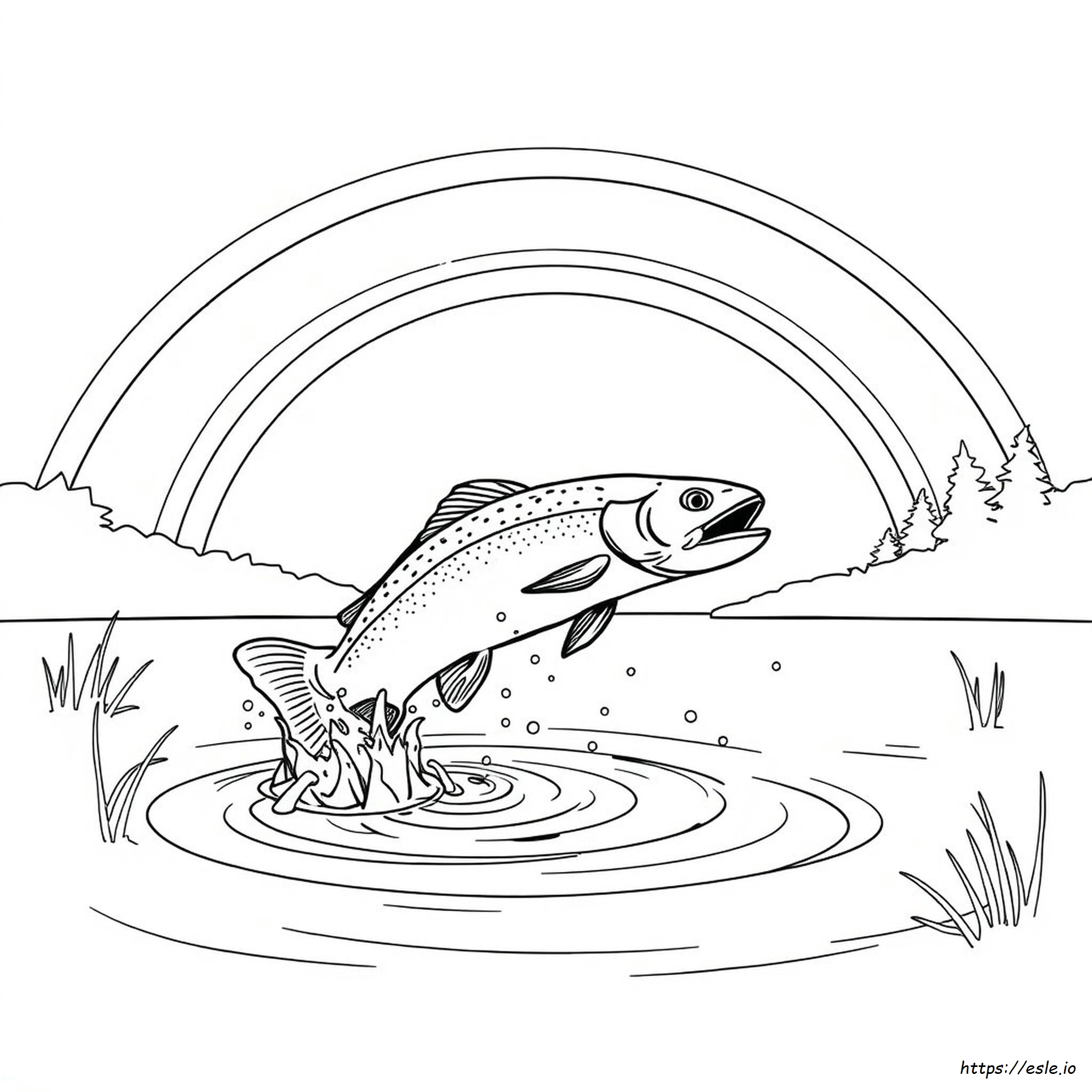 Printable Rainbow Trout Coloring Page