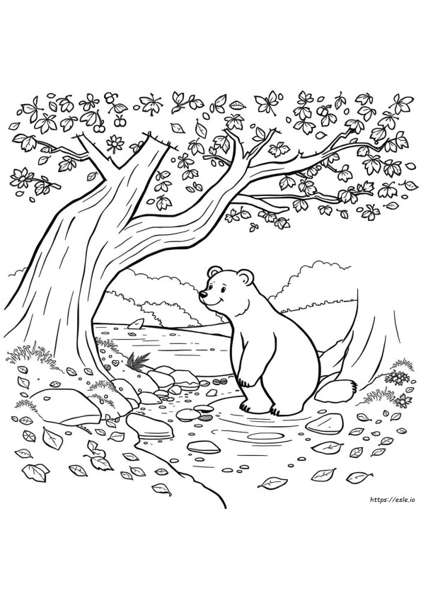 Coloriages Ours Pour Adultes
