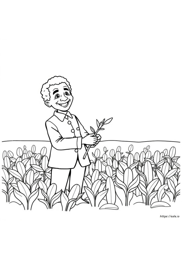 George Washington Carver Värityskuvat