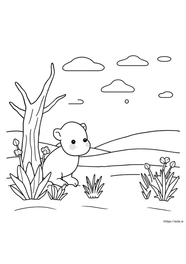 Page De Test D'impression Couleur Hp Pdf