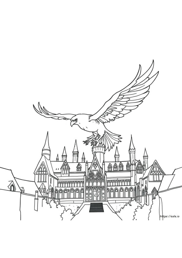 Harry Potter Feniks Kleurplaat