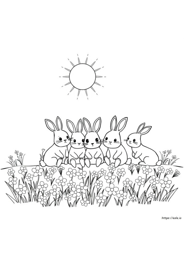 Sunny Bunnies Colouring