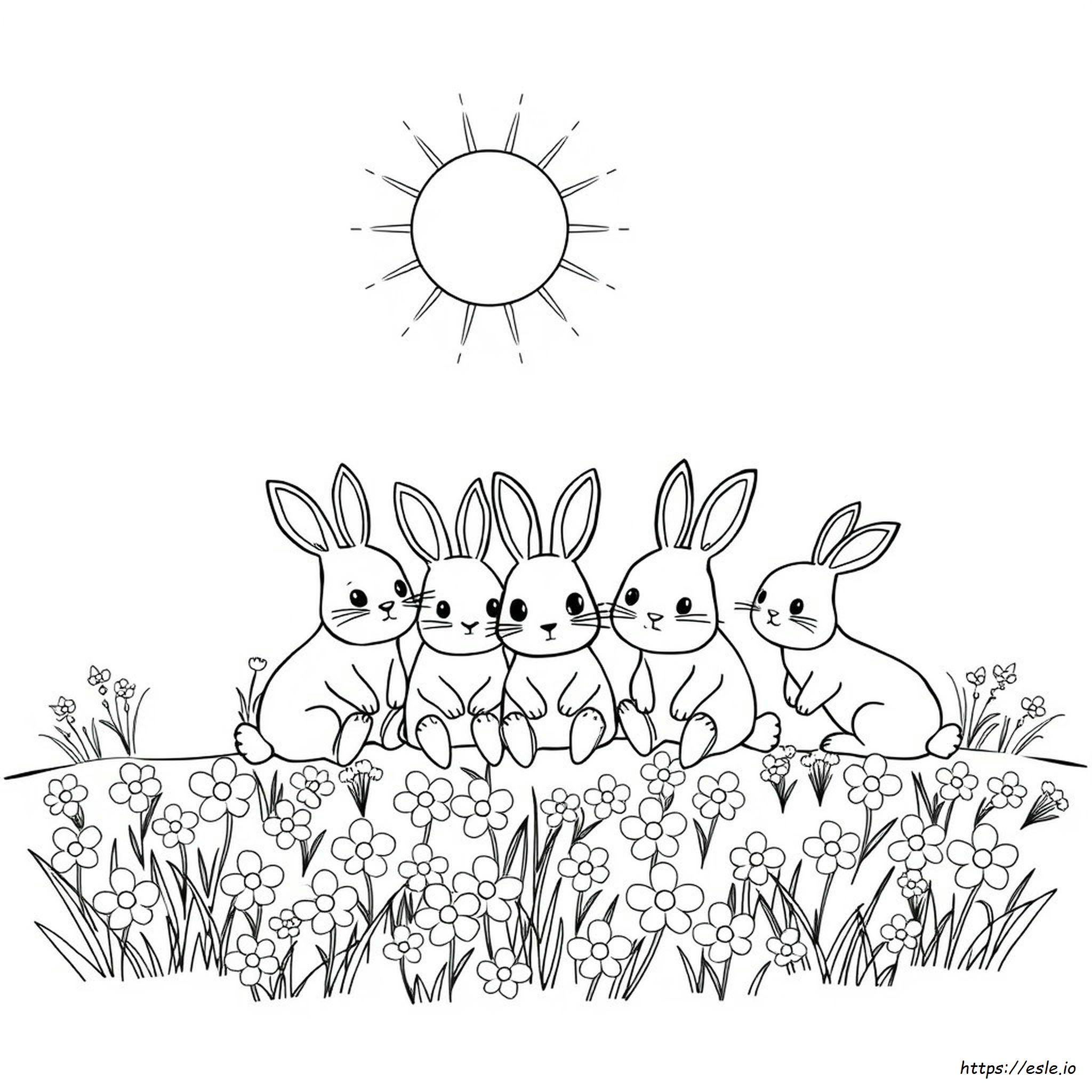 Coloriage Sunny Bunnies