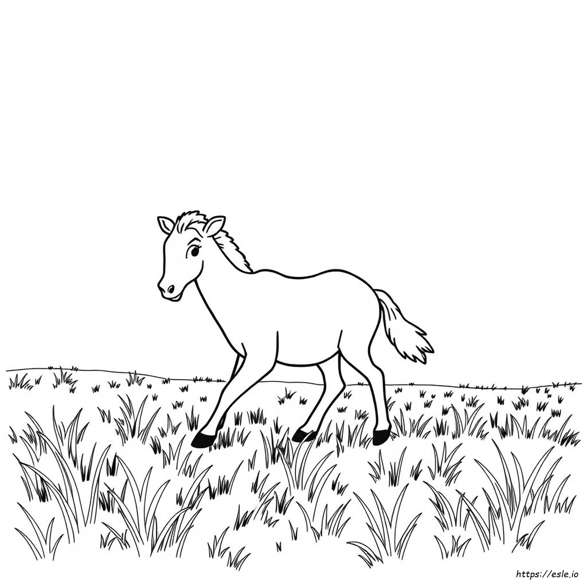 Sapi Printable Sapi Gambar Mewarnai