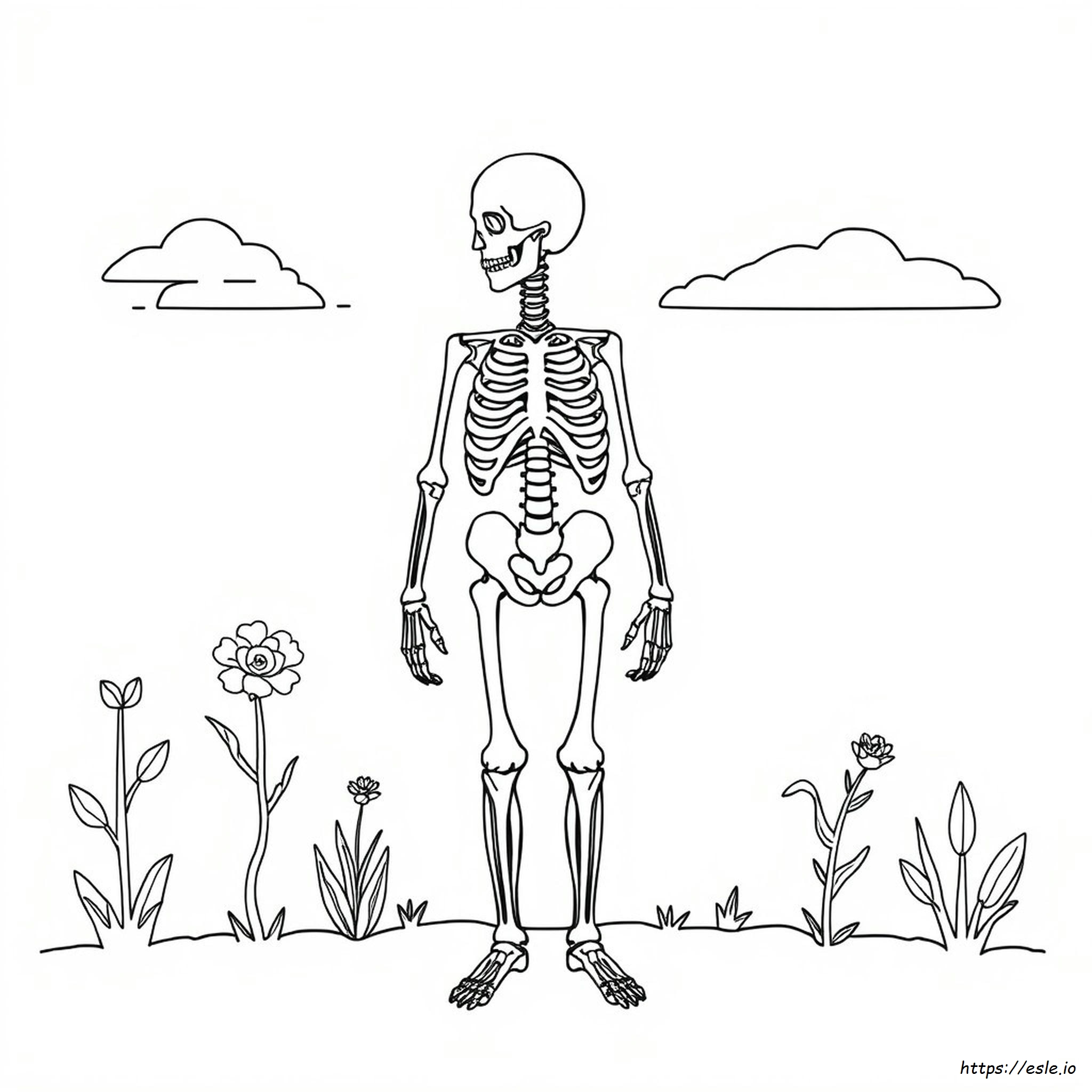 Pagina 1 Del Libro Da Colorare Di Anatomia