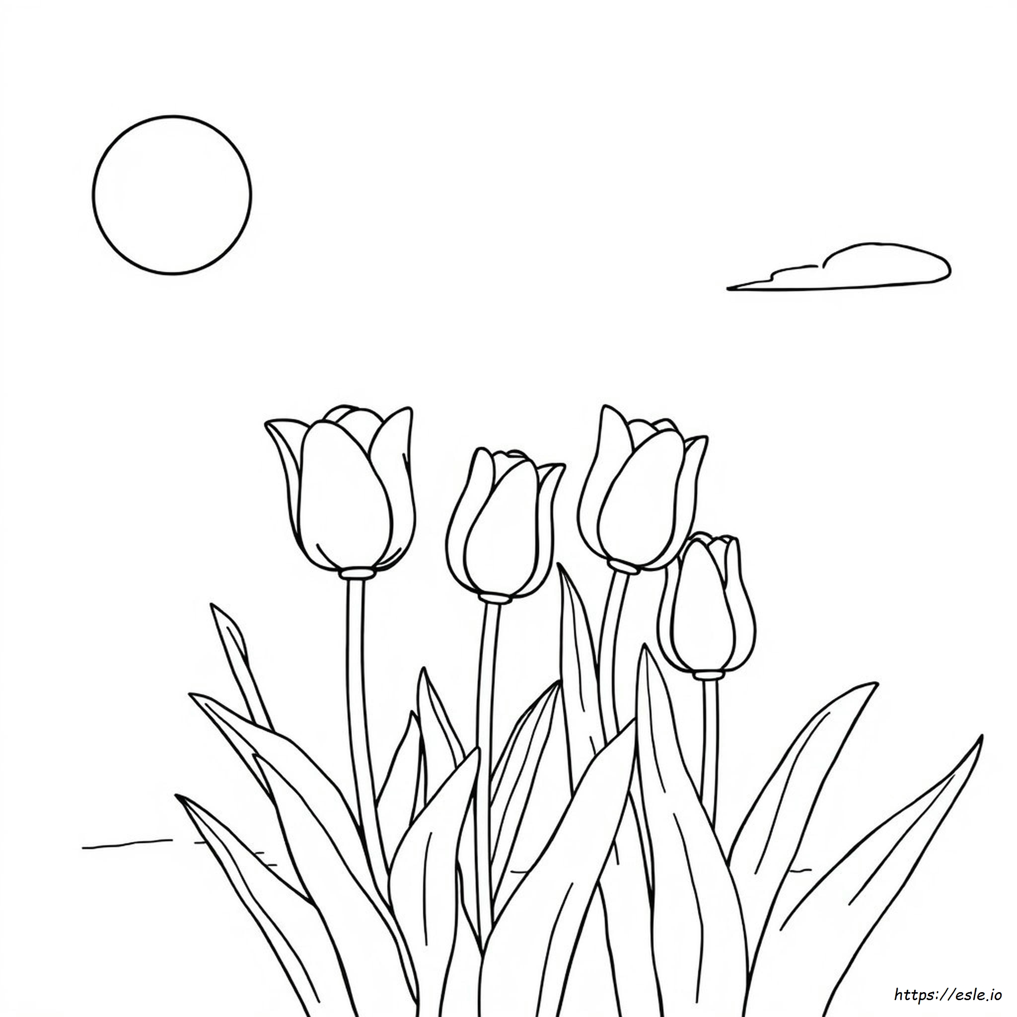 Coloring Pages Of Tulips