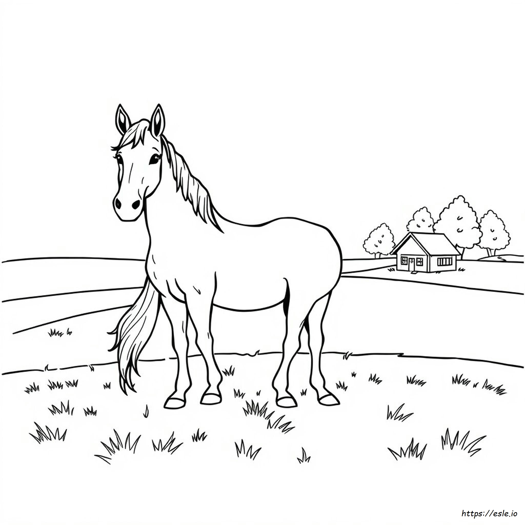 Horse Coloring Book Pages